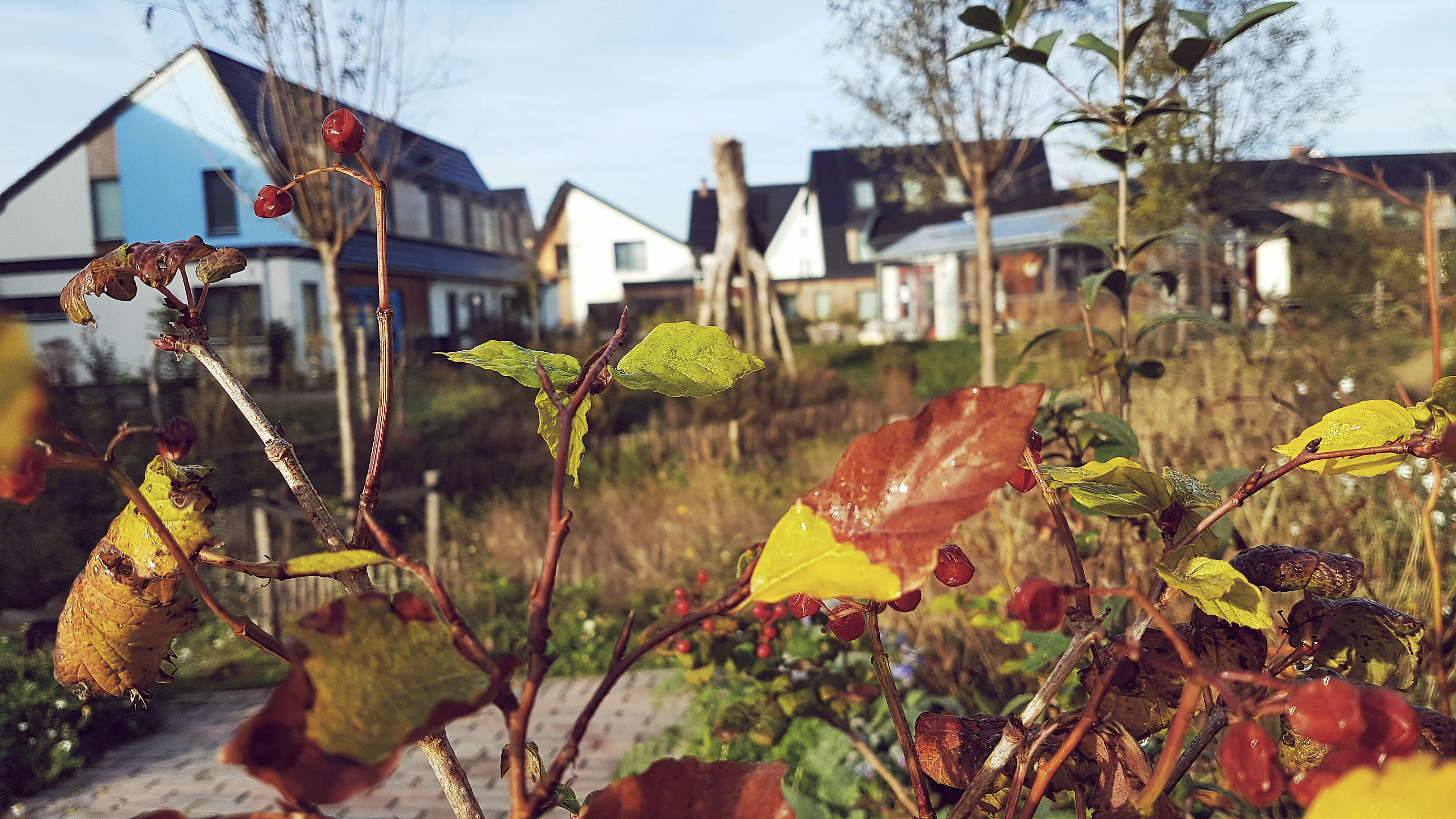 herfst