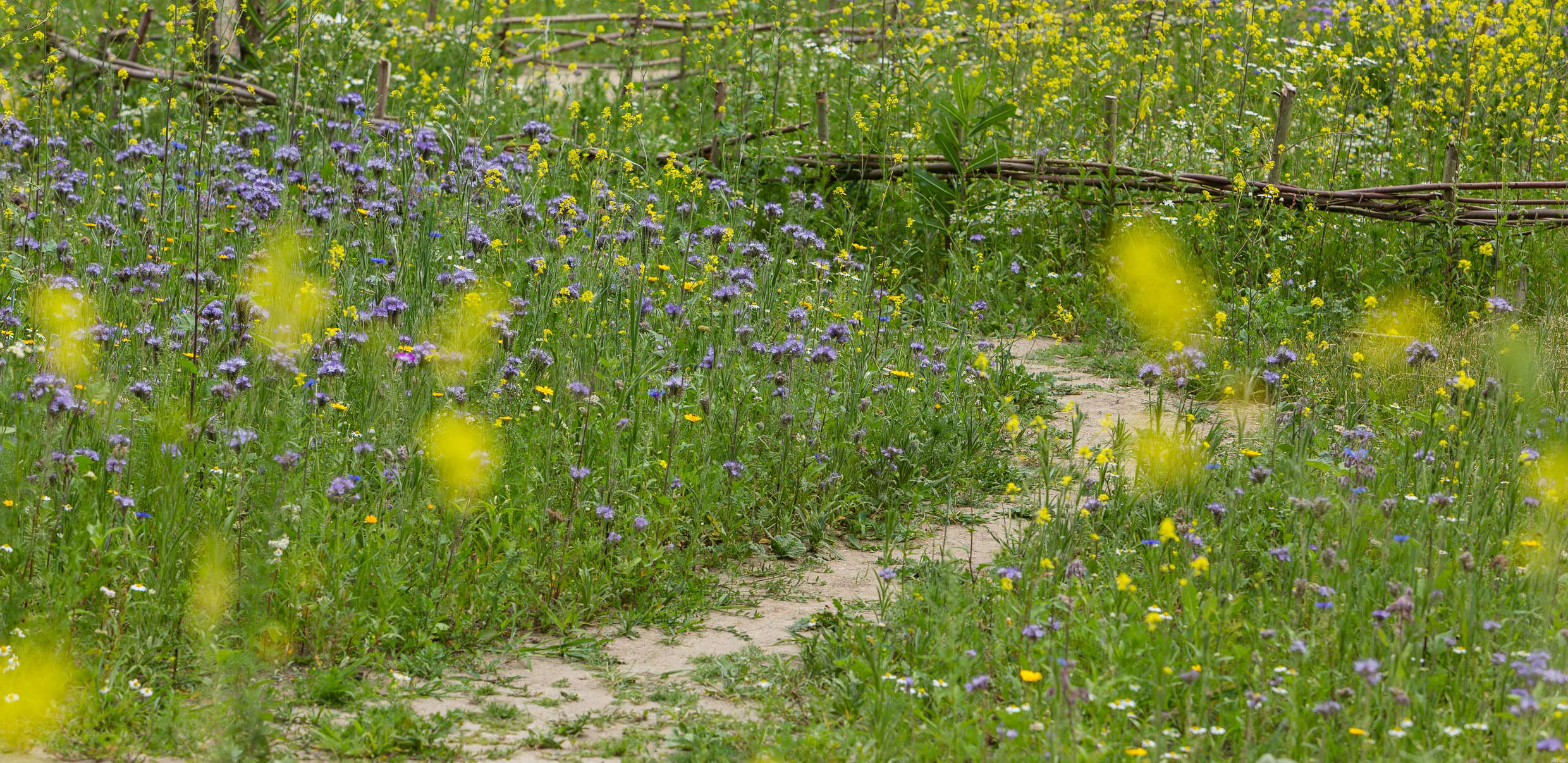 Ecowijk Mandora, Houten