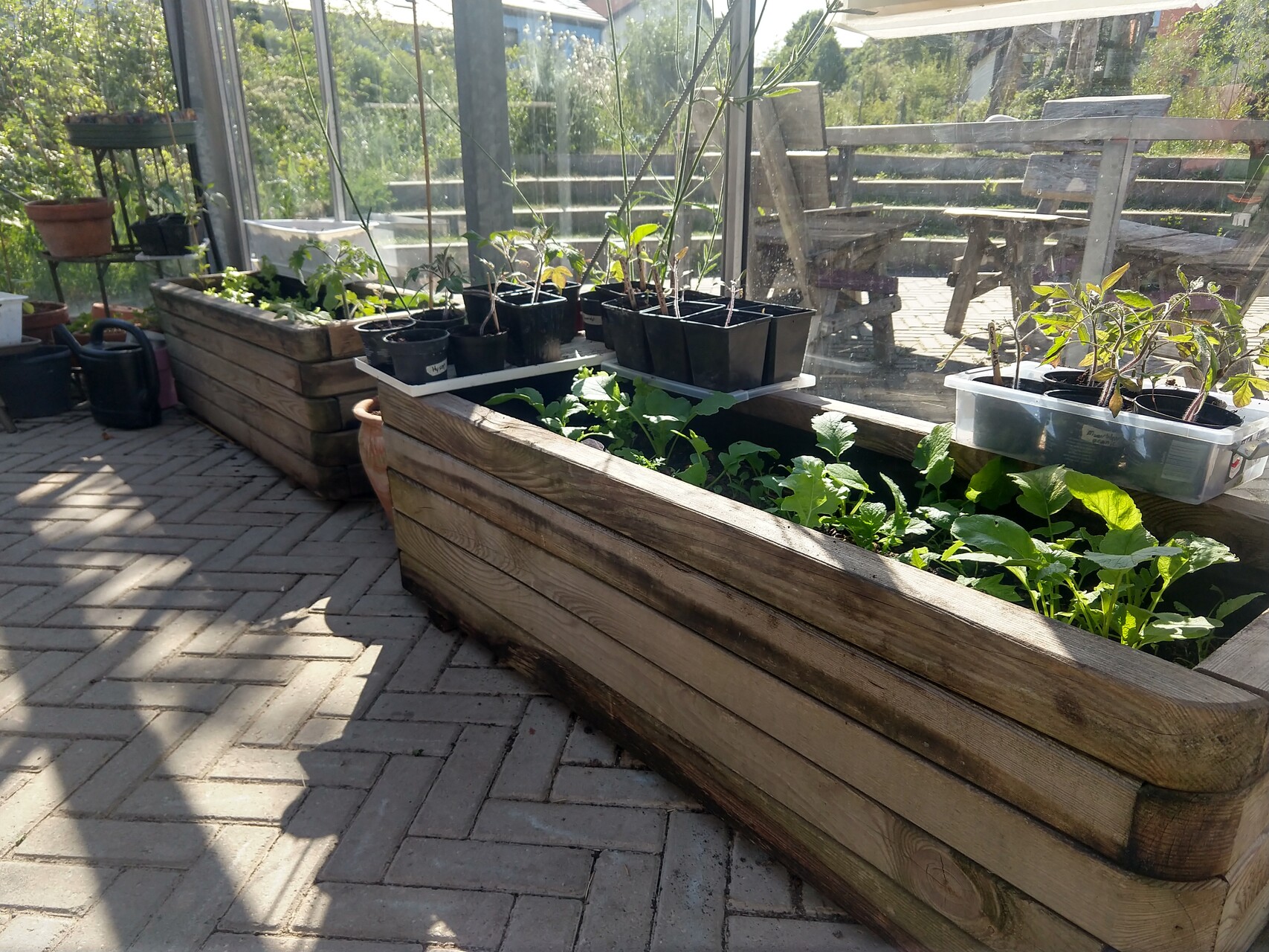 Groen in de kas van het buurthuis in ecowijk Mandora, Houten